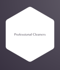 Professional Cleaners 